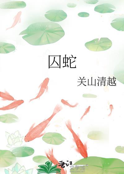 和木兔伪装情侣中