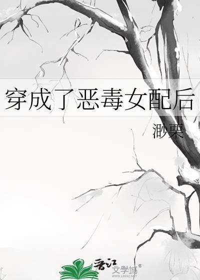 穿越红楼去写文