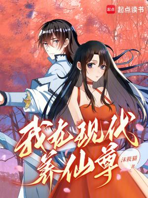 全职高手兴欣双圣