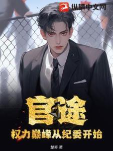 权势巅峰：从纪委开始