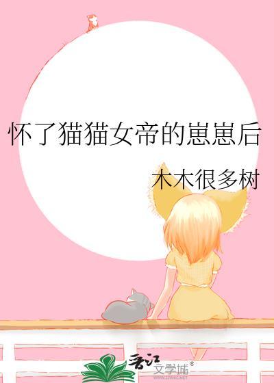 男团成长实录